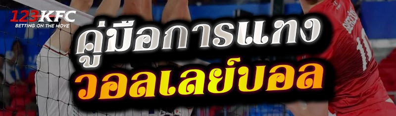 คู่มือการแทงวอลเลย์บอล 